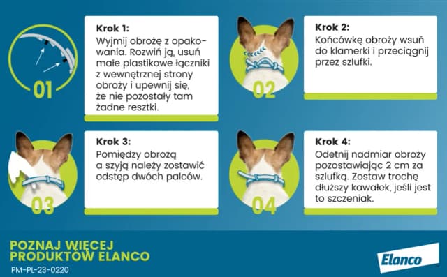 Jak działa obroża Foresto i jak skutecznie chroni przed pasożytami Jak działa obroża Foresto i jak skutecznie chroni przed pasożytami