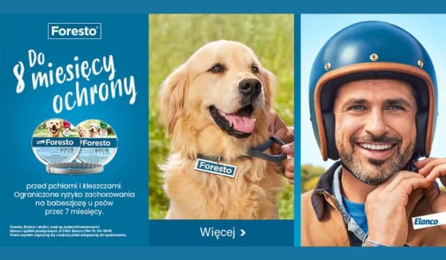 Gdzie kupić obrożę Foresto? Sprawdź najlepsze oferty online Gdzie kupić obrożę Foresto? Sprawdź najlepsze oferty online