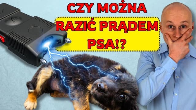 Jak działa obroża elektryczna? Prawda o jej skuteczności i ryzyku Jak działa obroża elektryczna? Prawda o jej skuteczności i ryzyku