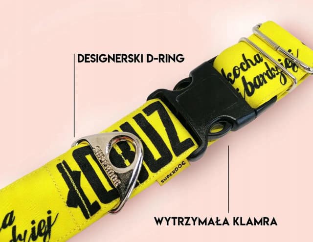 Najlepsza obroża dla amstaffa – uniknij błędów przy wyborze Najlepsza obroża dla amstaffa – uniknij błędów przy wyborze